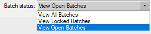 3. View Batches Panel
